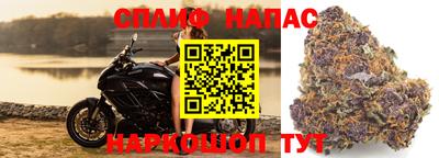 хмурый Краснознаменск