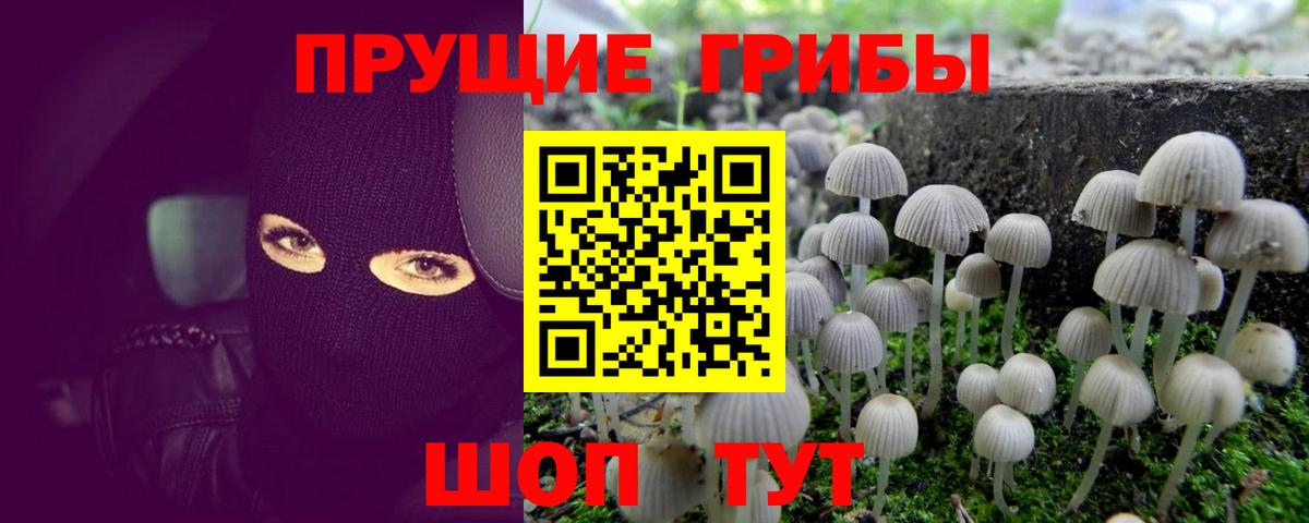 Галлюциногенные грибы Cubensis  Вход с VPN  Дзержинский 
