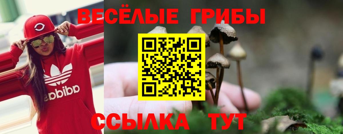 Псилоцибиновые грибы ЛСД Дзержинский
